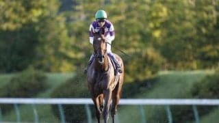 【プロキオンS枠順確定】サンライズジパングは5枠9番、オメガギネスは5枠10番