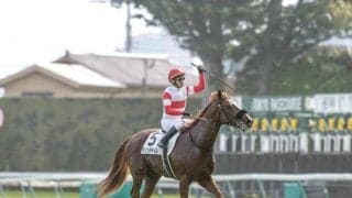 【AJCC枠順確定】ダノンデサイルは4枠8番、レーベンスティールは1枠2番