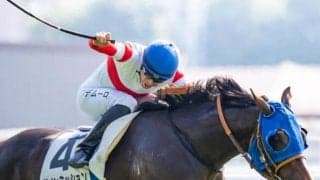 祖母に名牝ダンスインザムード 2.6億円馬が若竹賞で連勝狙う