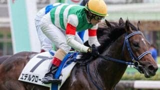 名牝ブエナビスタの孫が連勝へ 春のクラシックに向け通過点とできるか