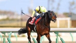 4.5億円のキャリーオーバー発生で記録更新か!? WIN5歴代配当トップ5を調べてみると