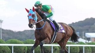 【根岸S想定馬・騎手】タガノビューティー、ドンフランキーなど24頭
