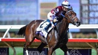 エクリプス賞の受賞馬が決定 13年ぶりに牝馬が年度代表馬に