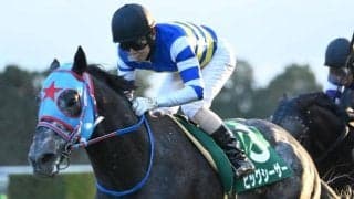 【シルクロードS想定馬・騎手】ビッグシーザー、ピューロマジックなど18頭