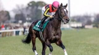 【小倉牝馬S予想】生まれ変わった牝馬ハンデ重賞 開幕週だけに速い時計への対応もカギ
