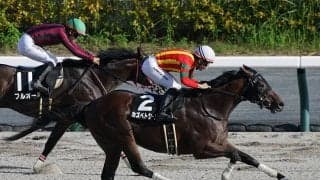 【競馬血統予想】プロキオンＳで注目すべきは「血の勢い」 種牡馬、牝系の成績から２頭に絞る