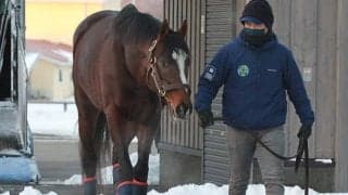 叔父はホットロッドチャーリー マーキュリーダイムがデビュー勝ちなるか