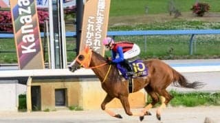 金沢競馬・年度代表馬はハクサンアマゾネス