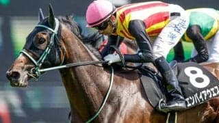 小倉牝馬S 穴なら内枠から先団-中団で運べる馬