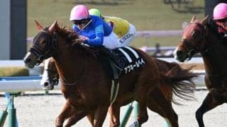 【萌黄賞結果】6番人気アブキールベイが追い比べを制す