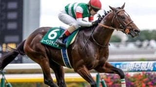 【AJCC予想】前走の位置取りが勝負の肝 実績十分の実力馬に立ちはだかる試練とは