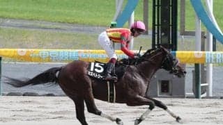 【プロキオンS予想】直線の長さに惑わされないことが重要!? 前走の初角の位置取りには要注意