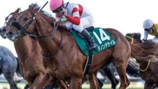 【AJCC前日オッズ】ダービー馬ダノンデサイルが2.8倍で1番人気