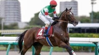 【AJCC予想】今年の中長距離路線を占う 実績馬有利な別定重量戦