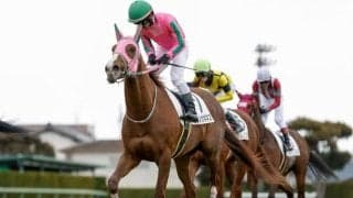 【プロキオンS予想】中京ダ1800m舞台の前哨戦 フェブラリーSへの直行切符をかけた戦い