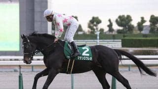 【競馬予想】AJCCはダノンデサイルで本当に鉄板か？ トリッキーな舞台が味方するベテラン２頭を侮るなかれ