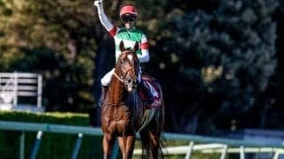 【AJCC予想】上位＆中位人気の組み合わせに妙味あり？ 過去データで探るGII・AJCC