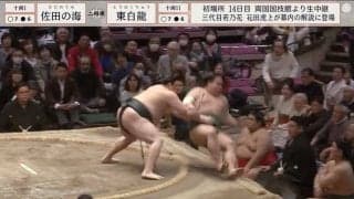 土俵下に落下した力士を“踏んでしまうハプニング”が発生「お仕置きされた」「追い討ちw」驚きの声