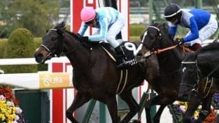 AJCCは展開がカギ スローならアウスヴァールの粘り込みがあるかも