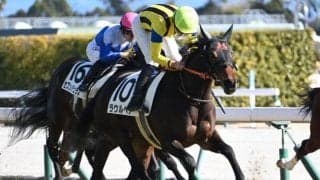【中京5R新馬戦結果】エピファネイア産駒ラウルベアが差し切りV