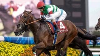 【AJCC・馬体重】レーベンスティールは492kg(+12)、ダノンデサイルは516kg(-4)