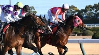 【プロキオンS結果】サンデーファンデーが逃げ切り重賞初V 音無厩舎のワンツーフィニッシュ