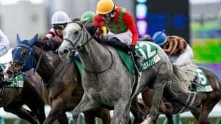 昨年のクイーンSを制したコガネノソラが骨折 休養期間は未定