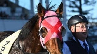 WIN5の売上TOP5は？ 26日は52億6668万5000円で歴代1位を更新