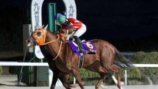 【佐賀・花吹雪賞結果】プレミアムカインドが直線の一騎打ちを制す