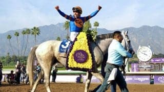 【海外競馬】ホワイトアバリオが復活V…米ペガサスワールドカップ