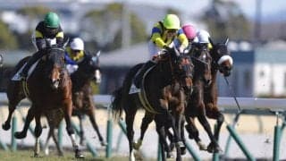 【新馬/中京5R】7番人気の伏兵ラウルベアがデビューV
