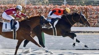【中京4R】イサナが逃げ切る…1コーナーでは団野騎手が落馬のアクシデント
