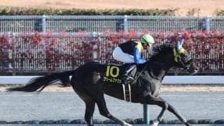 東京で根岸Sと京都でシルクロードSの2重賞/今週の競馬界の見どころ