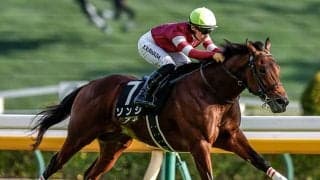 【シルクロードS想定騎手】ソンシは川田将雅騎手、ビッグシーザーは北村友一騎手