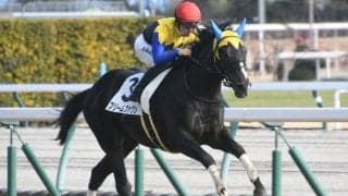 【根岸S見どころ】底力上位のフリームファクシの連勝に期待