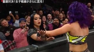 「小さくてかわいい」“乱入”女子、一撃でブッ飛ばされる… セキュリティが“抱っこ”で排除にファン失笑