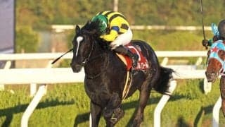 【先週のJRA抹消馬】23年兵庫ジュニアGP覇者イーグルノワール、サリオス＆サラキアときょうだいのサリエラなど