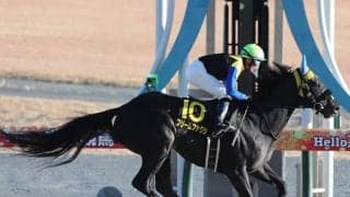 【根岸S想定騎手】フリームファクシはM.デムーロ騎手、サンライズフレイムは藤岡佑介騎手