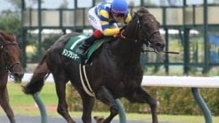 【AI予想・根岸S】層の厚い関西馬が圧倒！ 本命候補は短距離ダートで十分な実績を誇る3頭