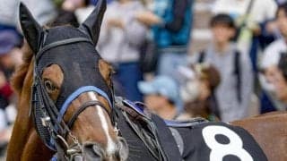 日本人騎手が20連勝中のシルクロードS ルメートル騎手が2人目の外国人ジョッキーVなるか