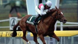 02年、03年に根岸S連覇 ダート競馬を変えたサウスヴィグラスとその産駒たち