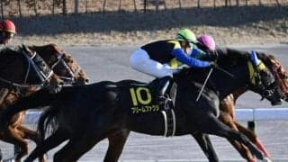 【根岸S予想オッズ】フリームファクシが予想1番人気