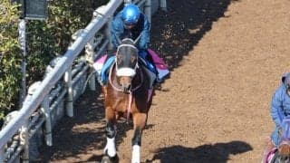 シャマルなど、先週の入厩情報/栗東トレセンニュース