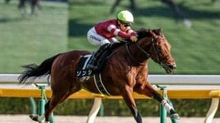 【シルクロードS予想オッズ】ソンシが予想1番人気