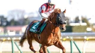 【シルクロードS展望】理想的なローテーションでここへ臨むウインカーネリアンに注目