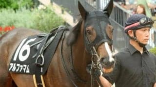 今世紀初の牝馬Vなるか 爆発力秘めた6歳馬がキング騎手とともに根岸Sに挑む