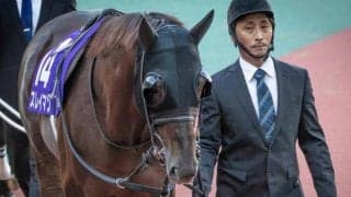 ジェンティルドンナの半弟が重賞初Vへ 根岸Sで一族初のダートタイトル獲得狙う