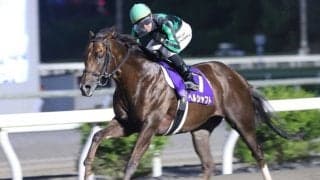 【高知競馬】ヘルシャフトを年度代表馬に選出