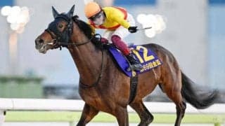 【大井・金盃結果】キリンジが6馬身差圧勝で重賞初制覇