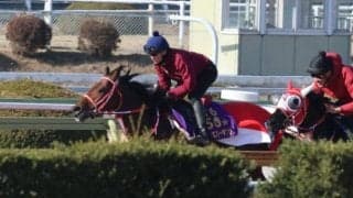 フォーエバーヤング、サウジC追い切り速報/栗東トレセンニュース